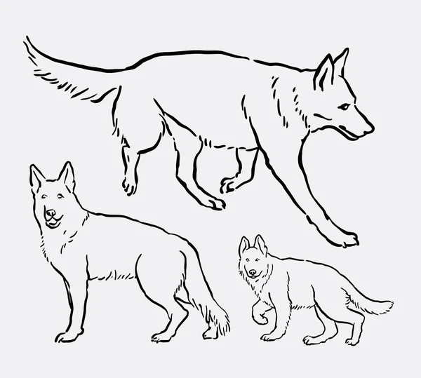 Owczarek niemiecki pies ssak zwierzę linii sztuki rysunku — Wektor stockowy