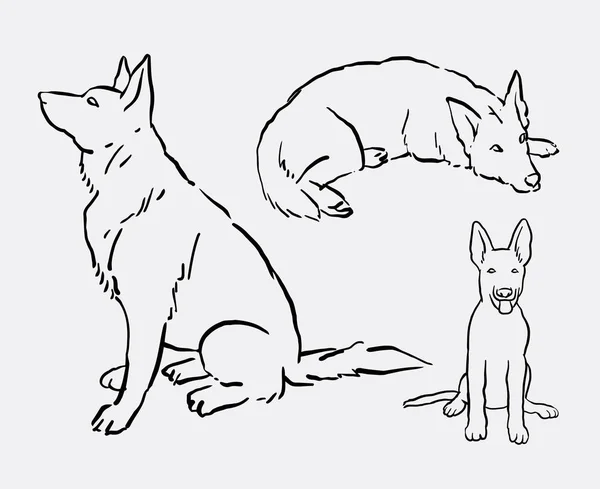 German shepherd pet dog animal line art drawing — Stock Vector