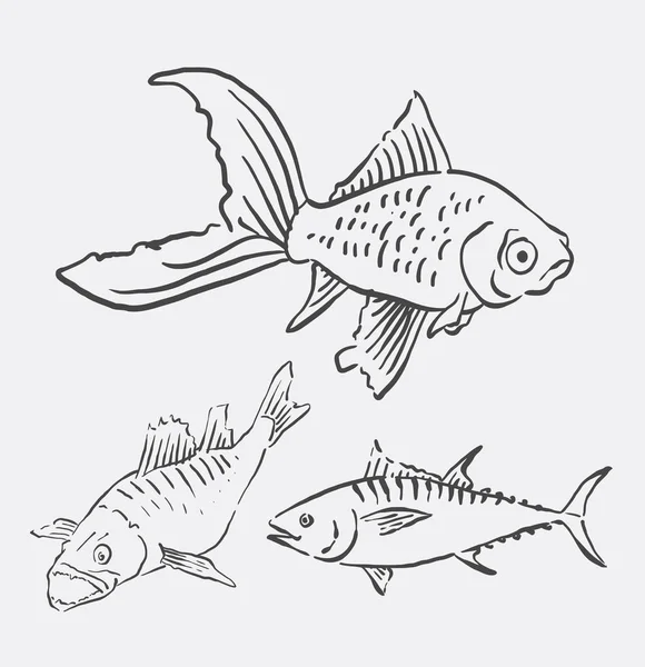 Fish pet animal line art drawing — Stock Vector