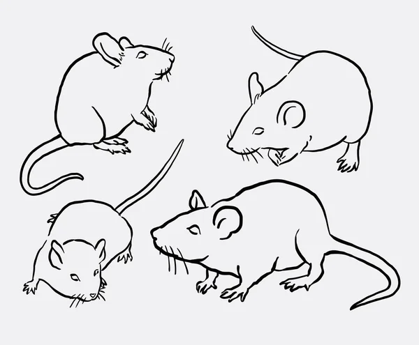 Seni menggambar tikus dan tikus garis hewan - Stok Vektor