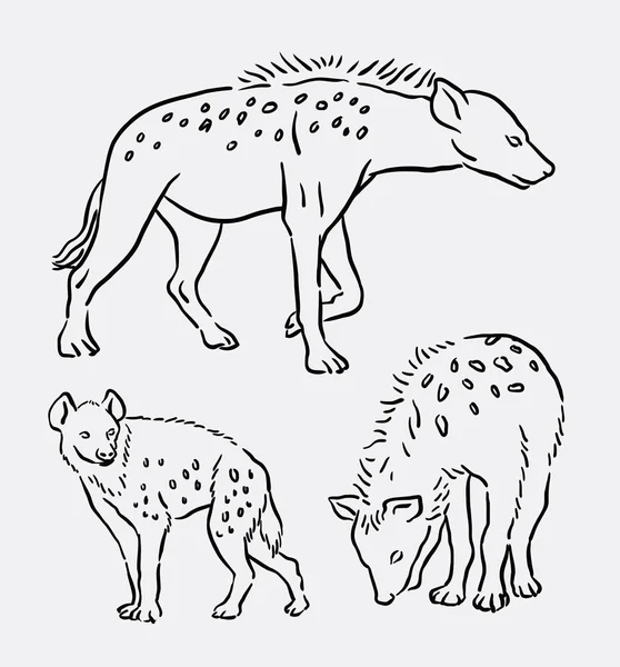 Hyena selvagem animal linha arte desenho — Vetor de Stock