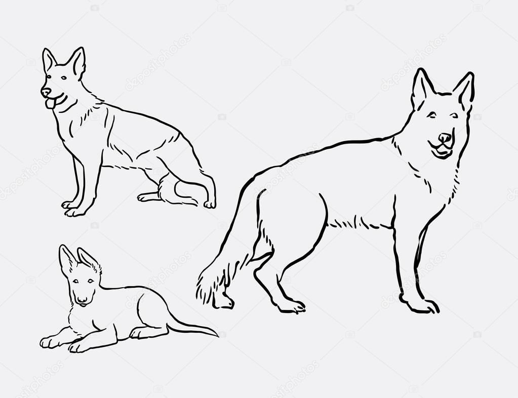 Dessin Au Trait Animale Pour Animaux De Compagnie Chien De