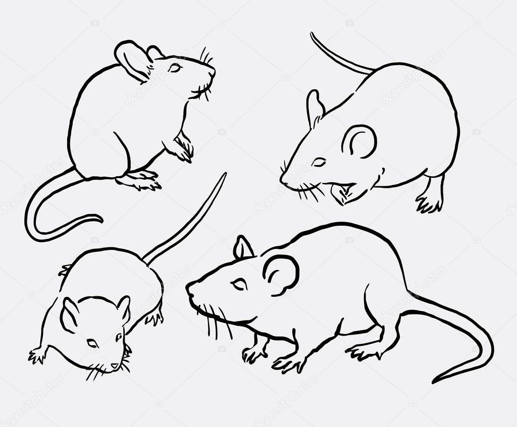 Mouse and rat animal line art drawing Stock Vector Image by ©Cundrawan703 #129513402 Mouse and rat animal line art drawing Stock Vector Image by ©Cundrawan703 #129513402