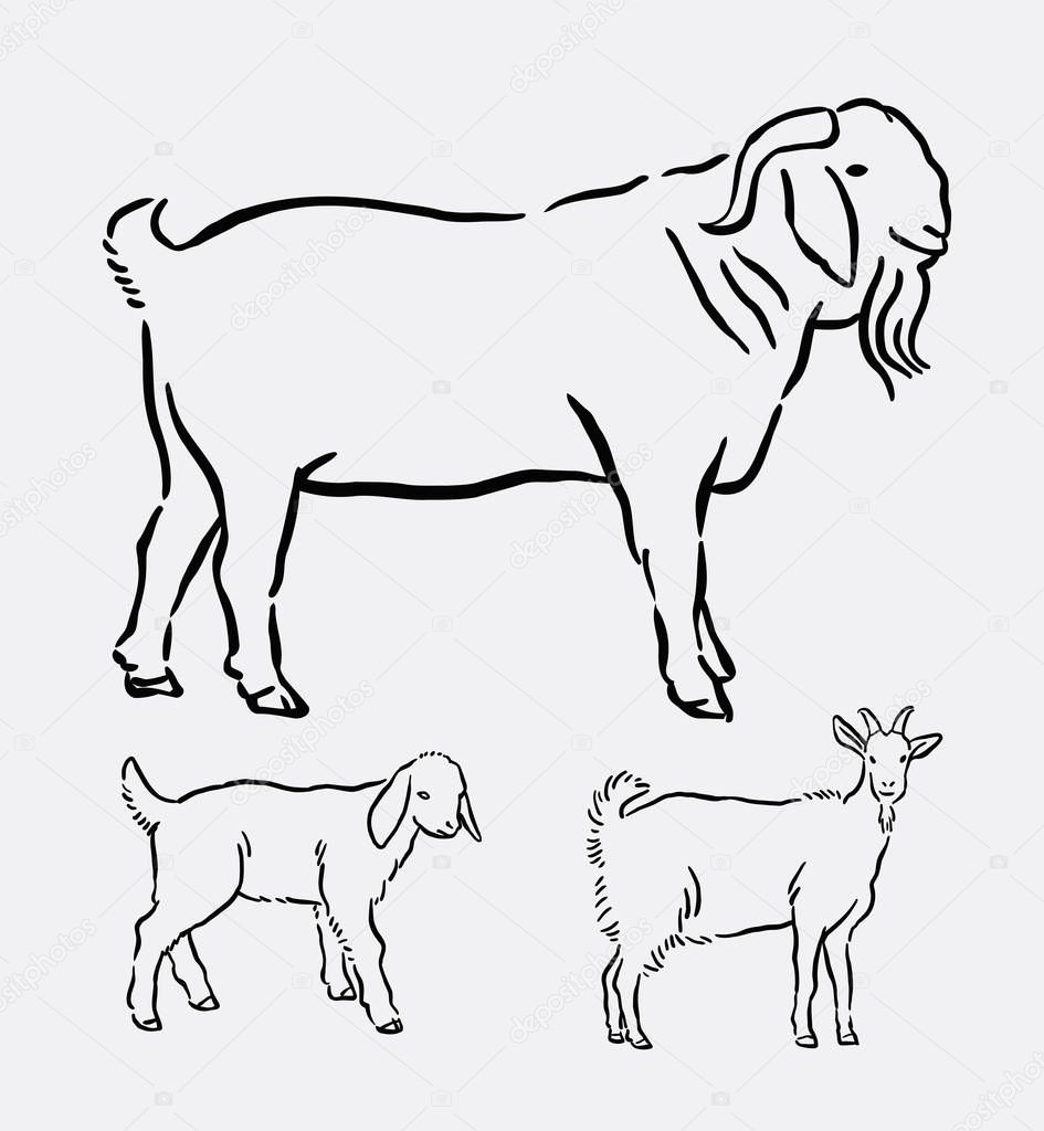 Goat Pet Animal Line Art Drawing Vector Image By C Cundrawan703 Vector Stock 129517160