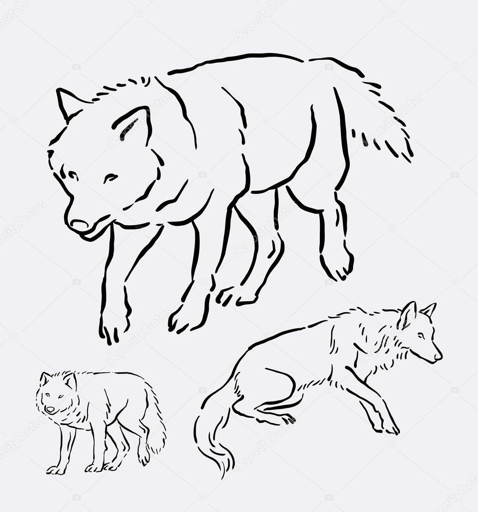 Wolf walking pose hand drawing. good use for symbol, logo, web icon, mascot, sign, sticker, element, object, or any design you want.