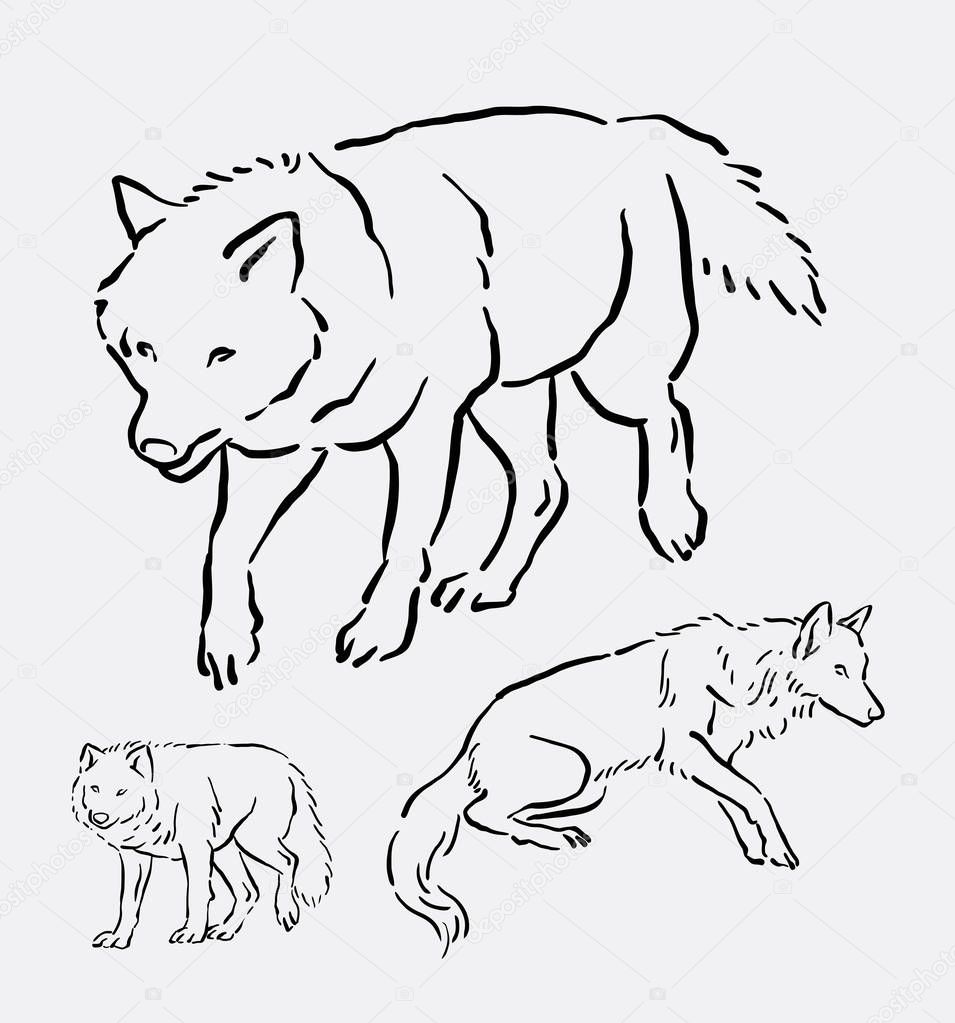 Wolf En Vos Dierlijke Lijnwerk Tekening Stockvector Cundrawan703
