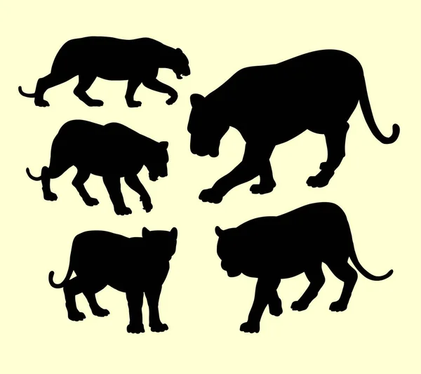 Kaplan, puma ve Panter vahşi hayvan siluet — Stok Vektör
