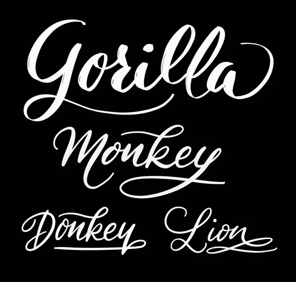 Gorilla en ezel handgeschreven typografie. — Stockvector