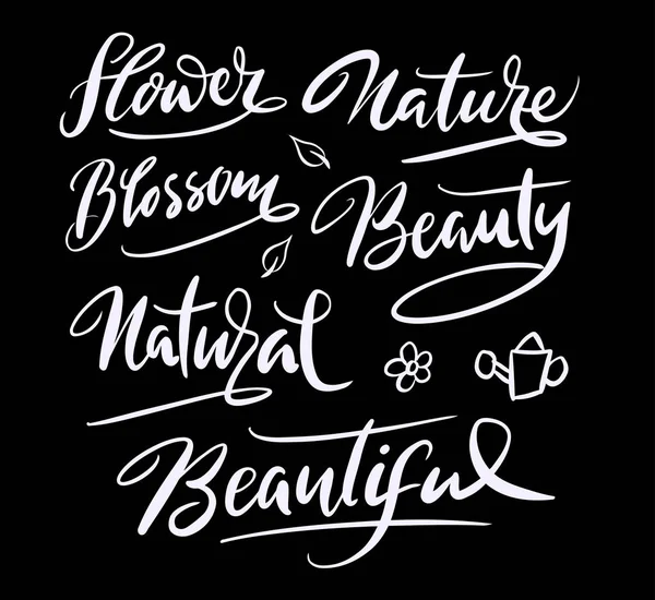 Příroda a květ květ rukopisné typografie. — Stockový vektor