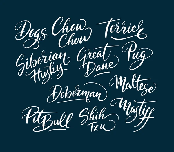 西伯利亚哈士奇犬和比特犬狗动物手写字体 — 图库矢量图片