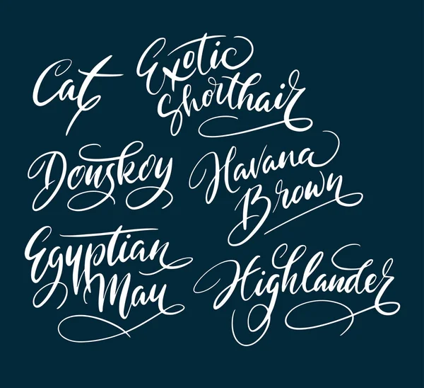 Eksoottinen oikosulku ja highlander kissa käsin kirjoitettu typografia — vektorikuva
