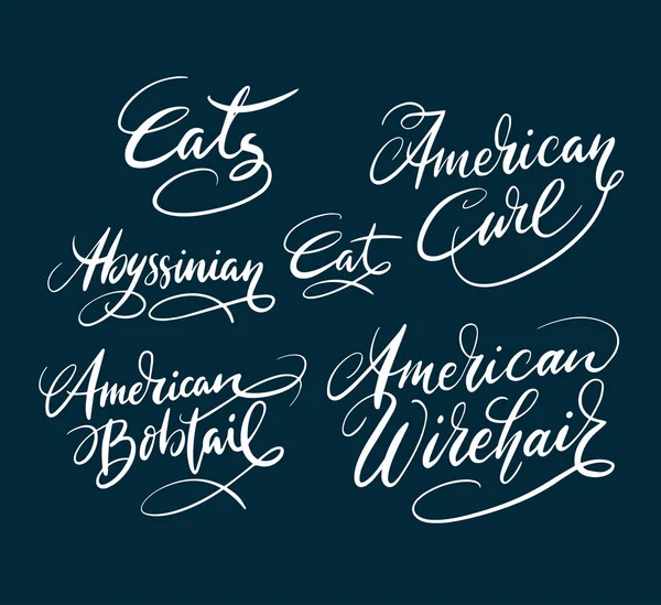 El yazılı tipografi Amerikalı kıvırmak ve Amerikalı bobtail kedi evde beslenen hayvan hayvan
