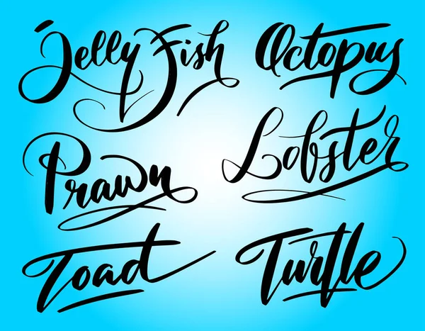Yazılı Tipografi Istakoz Ahtapot Logo Sembol Kapak Etiket Ürün Marka — Stok Vektör