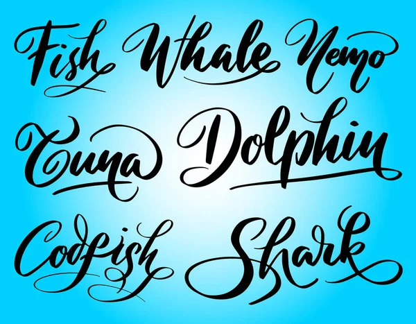 Dolphin Whale Fish Animal Hand Written Typography Good Use Logotype — Stock Vector