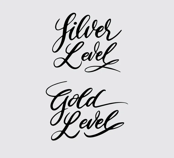 Zilver Goud Niveau Handschrift Typografie Goed Gebruik Voor Een Logo — Stockvector