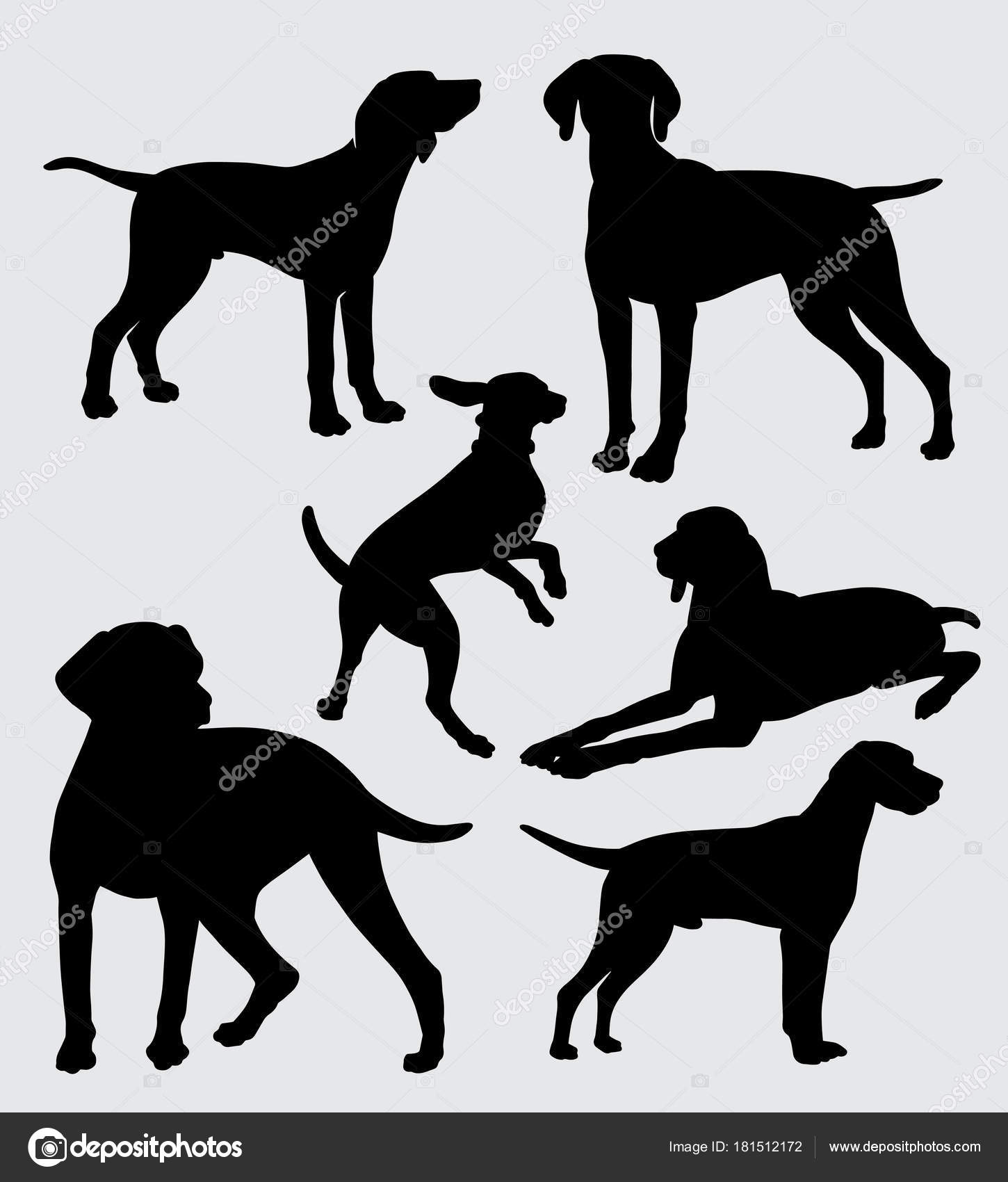 Vizsla Dog Pet Mammal Animal Silhouette Good Use Symbol Logo Stock