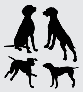 Sembol, logo, web simgesi, maskot, etiket, işaret veya istediğiniz herhangi bir tasarım için Vizsla köpek hayvan eylem siluet iyi kullanmak. 