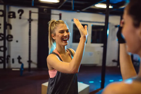 Sporty Women Giving High Five Each Other While Working Out — Stock Photo, Image