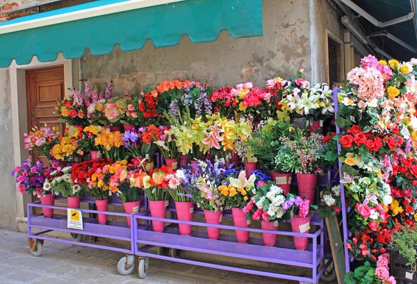 Exhibición de la tienda de la floristería, Venecia, Italia Fotos De Stock