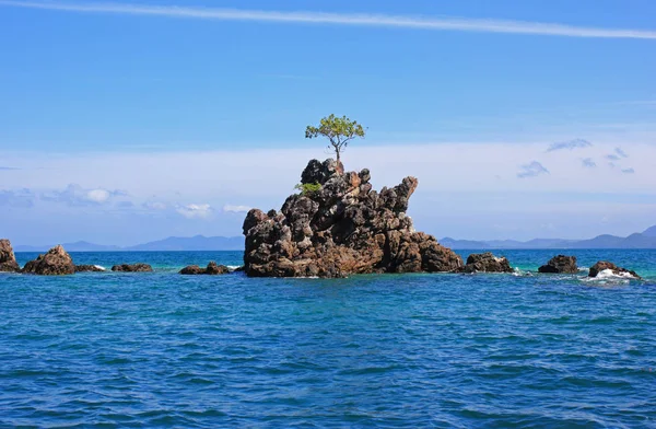 Pastoral kaya oluşumu ile o üstünde yalnız ağaç Denizi üzerinde. Phiphi Island, Güney Tayland.