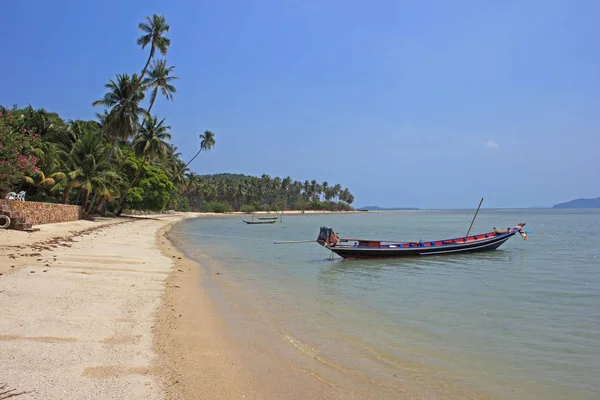 Lonely Beach Koh Samui Thailand Tropical Beach Coconut Palm Trees — Stock Photo, Image