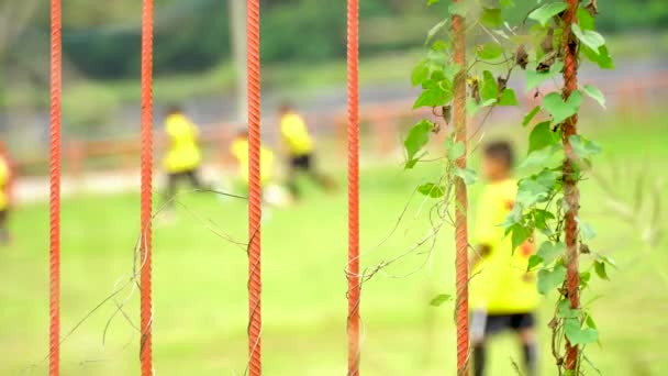 Close View Metal Fence Soccer Field Fence Kids Playing Soccer — Stock Video