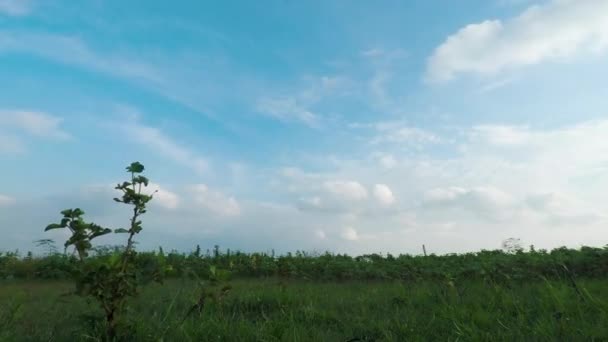 Lapso Tempo Céu Azul Brilhante Com Nuvem Vai Caminho Diferente — Vídeo de Stock