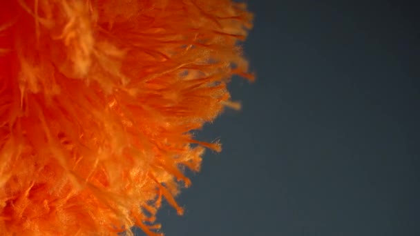Bolyhos Narancssárga Portörlő Seprű Szürke Háttérrel — Stock videók