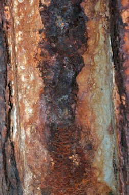 Paslı doku veya arka plan açık ve dikey görünümü. Uzay kopyalayın. Metin için yer. grafik kaynak