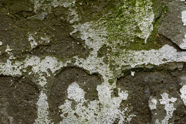 El viejo texutre de piedra grunge verde o fondo con estuco — Foto de Stock