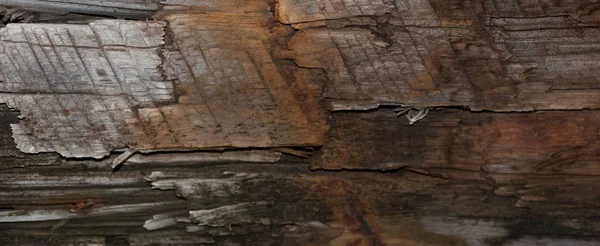 A textura de madeira de grange de madeira escura ou fundo . — Fotografia de Stock