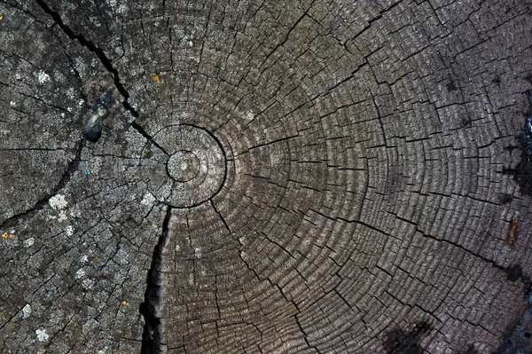 Πρόσοψη του παλιού σκούρο ξύλο ξύλο υφή ή φόντο. Αντιγράψτε το χώρο. γραφικό πόρο — Φωτογραφία Αρχείου