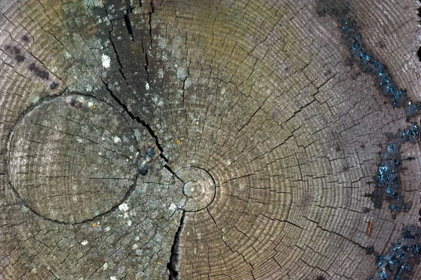 오래 된 어두운 나무 목재 질감 또는 배경의 전면 보기 S 복사 — 스톡 사진