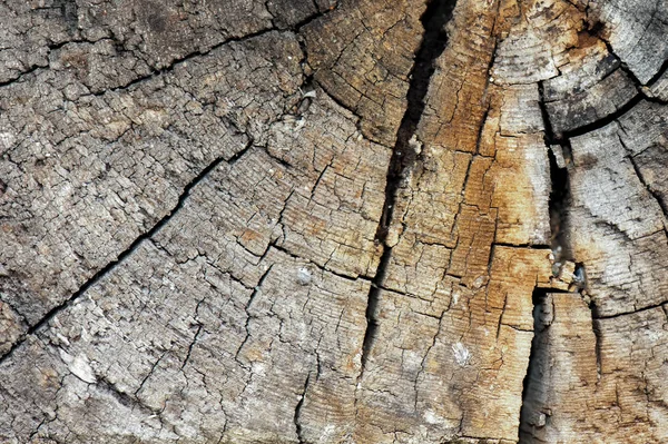 Vooraanzicht van het donker grijze oude hout textuur of achtergrond. Kopieer ruimte. Plek voor tekst. grafische resource — Stockfoto