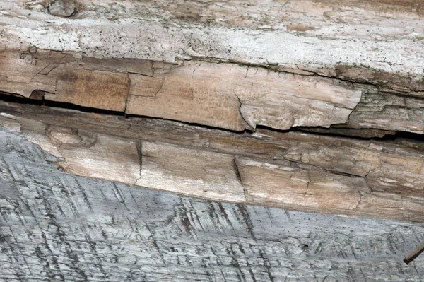 Vista frontal de fondo o textura de madera gris vieja. Copiar espacio. Lugar para el texto. recurso gráfico — Foto de Stock