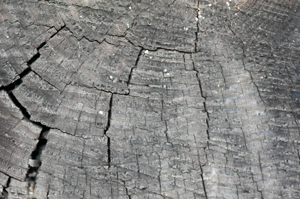 Vista frontal de textura de madeira velha cinza escuro ou fundo. Espaço para cópia. Lugar para SMS. recurso gráfico — Fotografia de Stock