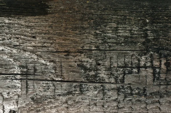 Vista frontal de fondo o textura de madera gris vieja. Copiar espacio. Lugar para el texto. recurso gráfico — Foto de Stock