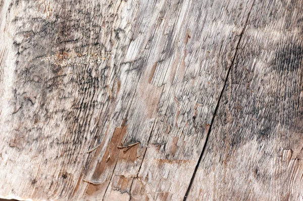 Vista frontal de fondo o textura de madera gris vieja. Copiar espacio. Lugar para el texto. recurso gráfico — Foto de Stock