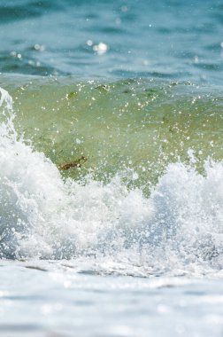 Deniz okyanus kıyısı dikey, yan görünüm. Kavram rahatla ve seyahat.