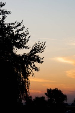 Gökyüzü arka plan veya doku bulutlar ile günbatımı anda dikey görünümünü. Kopya alanı