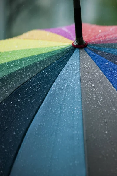Вертикальний вигляд крупним планом парасольки в веселкових кольорах в дощовий осінній день, розмитий фокус — стокове фото