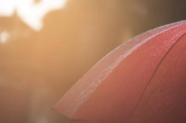 Крупним планом парасолька в веселкових кольорах в дощовий осінній день, розмитий фокус — стокове фото