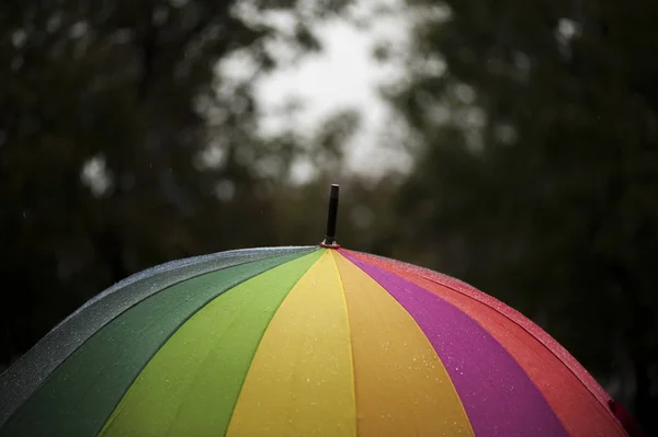 Közeli esernyő, a szivárvány színei esős őszi nap, blur, focus — Stock Fotó