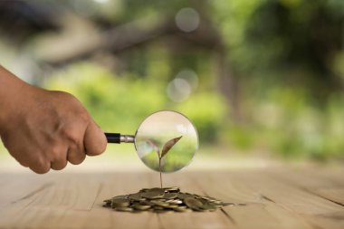 Sikke para, iş KSS satırda büyüyen bitki