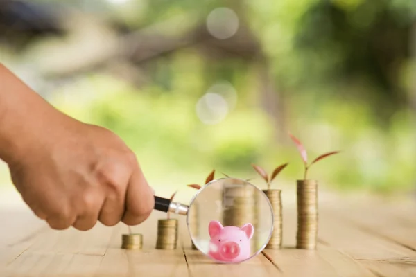 Hand hält Lupe mit Geld wachsende Pflanze Schritt mit Pfand Münze. Geschäftskonzept für Banken und Investitionen. — Stockfoto