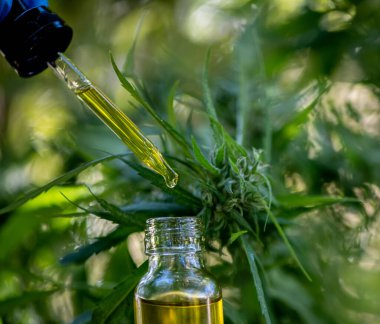 Doktorlar bir şişe ilaç düşürücü, biyomedikal ve ekolojik kenevir ilacı, tıbbi bitkiler, cbd yağı, kenevir yağı, tıbbi kullanım için tıbbi kenevir ürünleri, Cbd kenevir yaprağı ve kenevir Cbd yağ kapsülleri bulunduruyorlar..