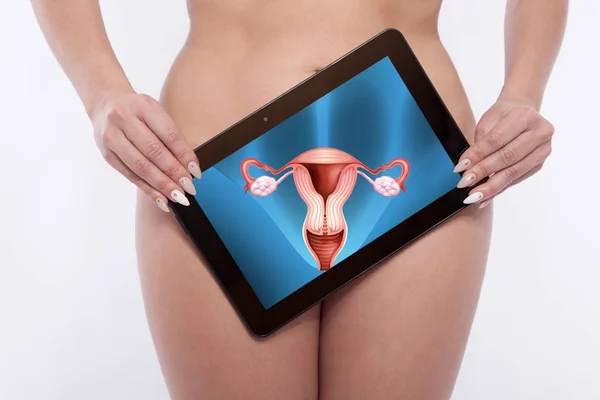 Bir tablet screenning olan kadın üreme organları