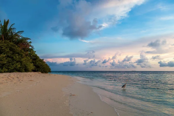 Pôr do sol em uma ilha, na praia — Fotografia de Stock