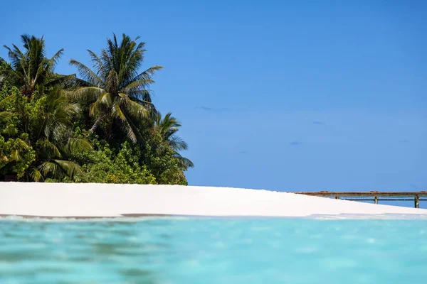 Maldives, beach with palm trees — Stock Photo, Image