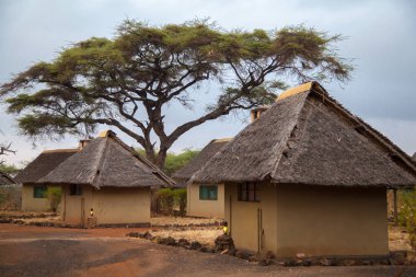 Kenya, Safari kampında 